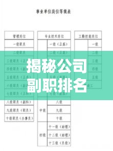 揭秘公司副职排名规则，职位等级划分与评价标准！