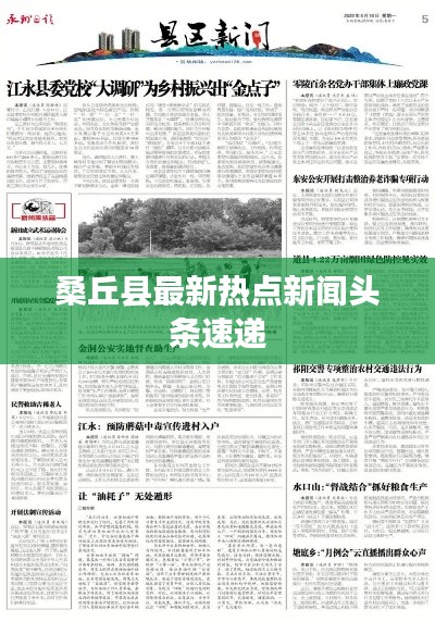 桑丘县最新热点新闻头条速递