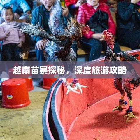越南苗寨探秘，深度旅游攻略