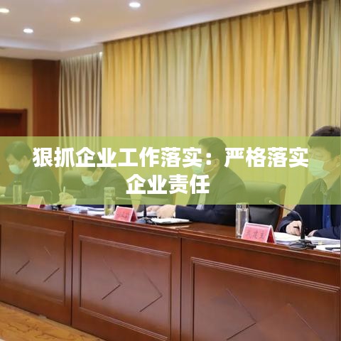 狠抓企业工作落实：严格落实企业责任 
