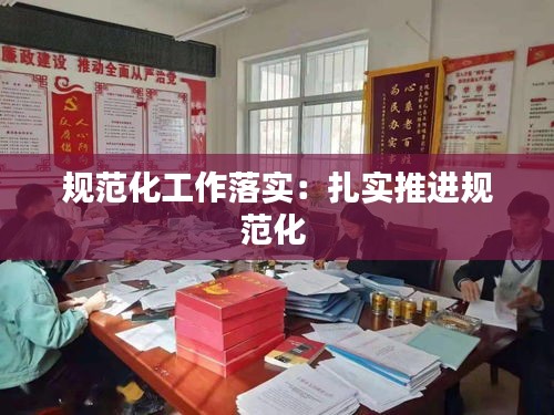 规范化工作落实：扎实推进规范化 