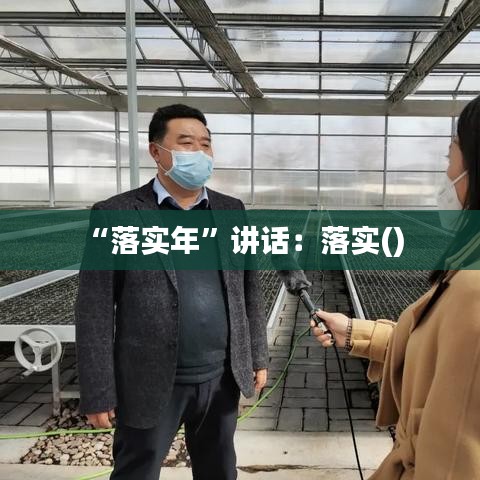 “落实年”讲话：落实() 