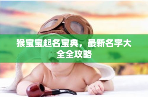 猴宝宝起名宝典，最新名字大全全攻略