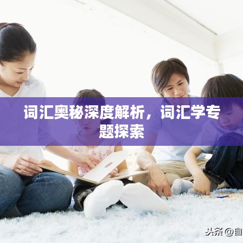 词汇奥秘深度解析，词汇学专题探索