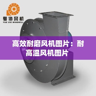 admin 第2页