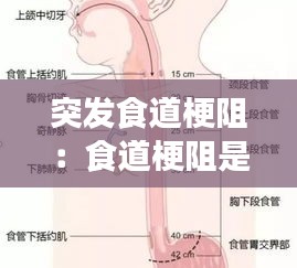手不释卷 第2页