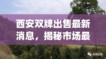西安双牌出售最新消息，揭秘市场最新动态！