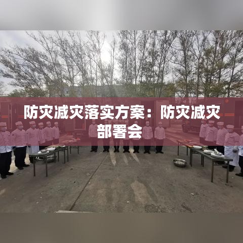 防灾减灾落实方案：防灾减灾部署会 