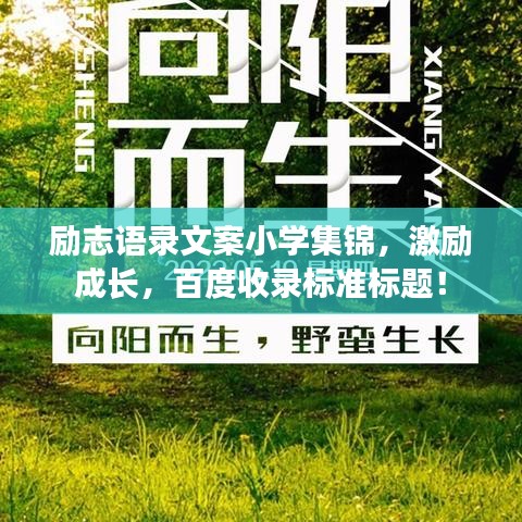 励志语录文案小学集锦，激励成长，百度收录标准标题！