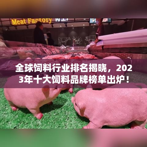 全球饲料行业排名揭晓，2023年十大饲料品牌榜单出炉！
