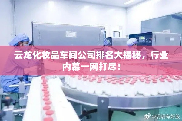 云龙化妆品车间公司排名大揭秘，行业内幕一网打尽！
