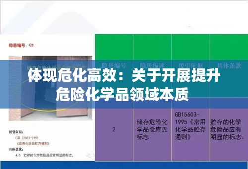 体现危化高效：关于开展提升危险化学品领域本质 