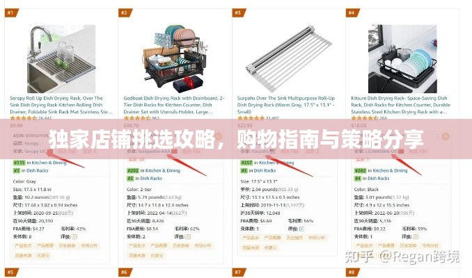 独家店铺挑选攻略，购物指南与策略分享