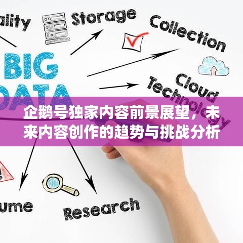 企鹅号独家内容前景展望，未来内容创作的趋势与挑战分析