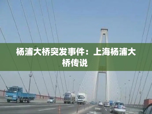 杨浦大桥突发事件：上海杨浦大桥传说 
