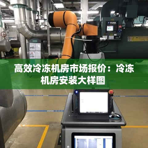高效冷冻机房市场报价：冷冻机房安装大样图 