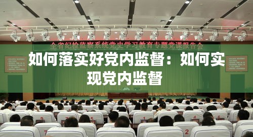 如何落实好党内监督：如何实现党内监督 