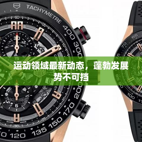 运动领域最新动态，蓬勃发展势不可挡