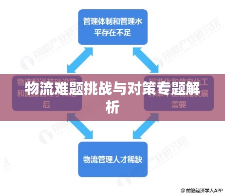 物流难题挑战与对策专题解析