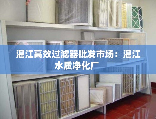 湛江高效过滤器批发市场：湛江水质净化厂 