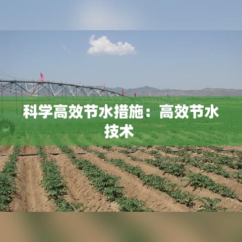 科学高效节水措施：高效节水技术 