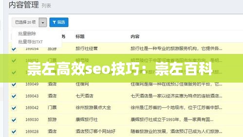 崇左高效seo技巧：崇左百科 