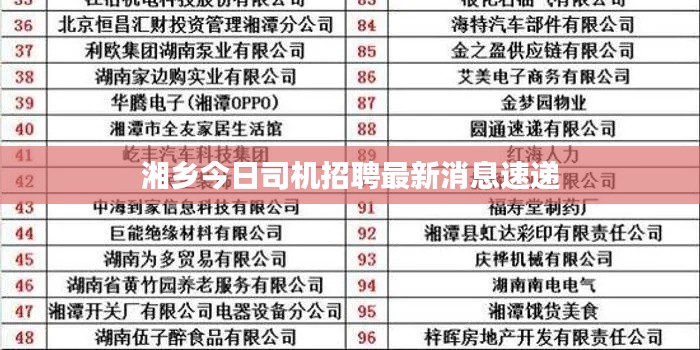 湘乡今日司机招聘最新消息速递