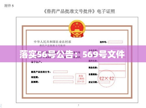 落实56号公告：569号文件 