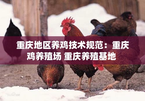 重庆地区养鸡技术规范：重庆鸡养殖场 重庆养殖基地 