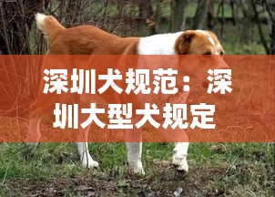 放浪形骸 第2页