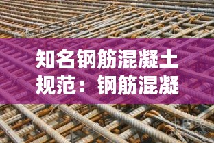 知名钢筋混凝土规范：钢筋混凝土现行规范 