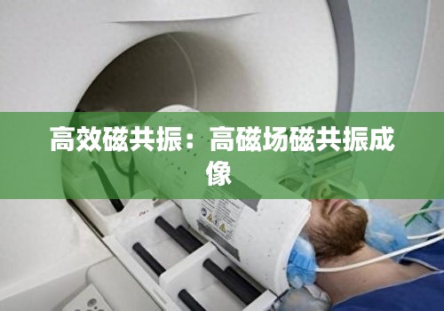 高效磁共振：高磁场磁共振成像 