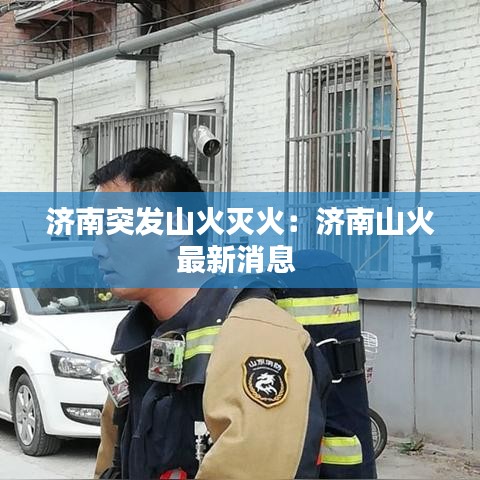 集腋成裘 第2页