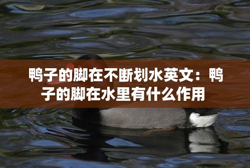 无独有偶 第2页