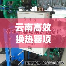 张皇失措 第2页