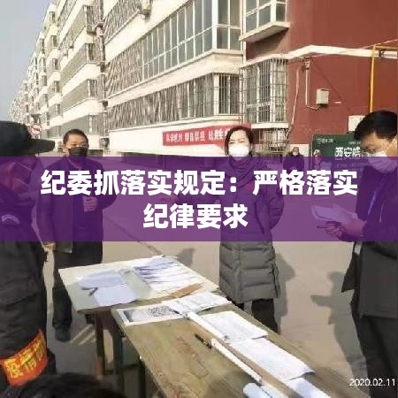 纪委抓落实规定：严格落实纪律要求 