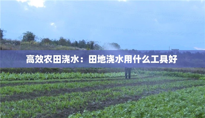 高效农田浇水：田地浇水用什么工具好 