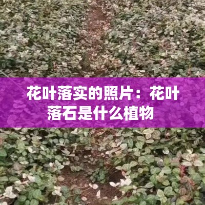 国色天香 第2页