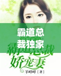 霸道总裁独家蜜婚：霸道总裁独家爱阅读 