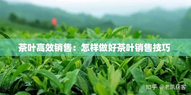 后会难期 第2页