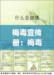 梅毒宣传册：梅毒健康宣教ppt 
