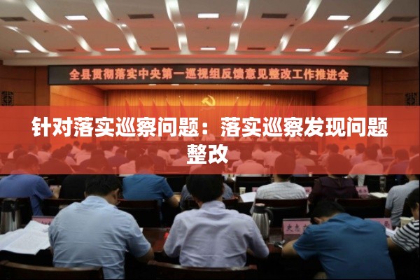 针对落实巡察问题：落实巡察发现问题整改 