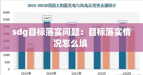 sdg目标落实问题：目标落实情况怎么填 