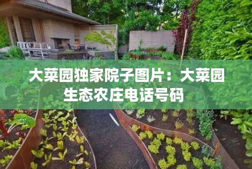 大菜园独家院子图片：大菜园生态农庄电话号码 