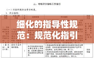 细化的指导性规范：规范化指引 