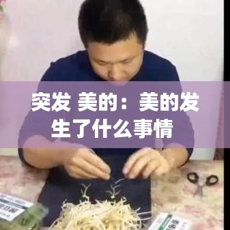 突发 美的：美的发生了什么事情 