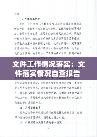 文件工作情况落实：文件落实情况自查报告 