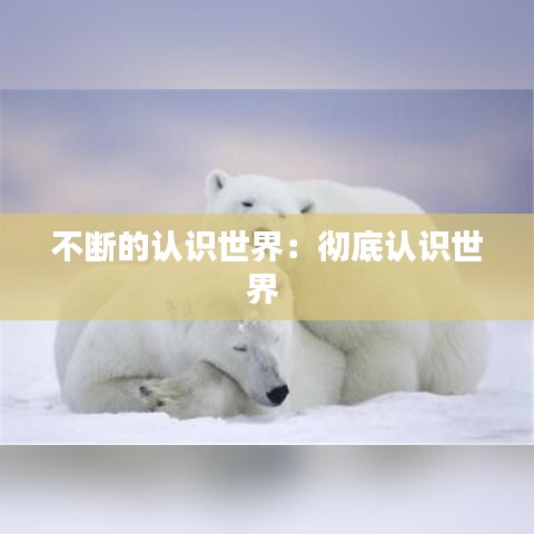 不断的认识世界：彻底认识世界 
