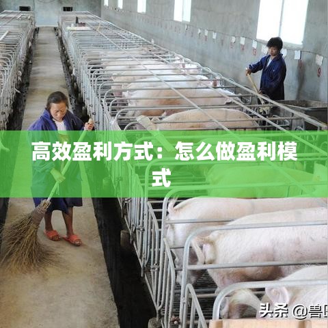 高效盈利方式：怎么做盈利模式 