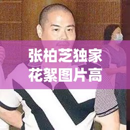 张柏芝独家花絮图片高清：张柏芝海报 